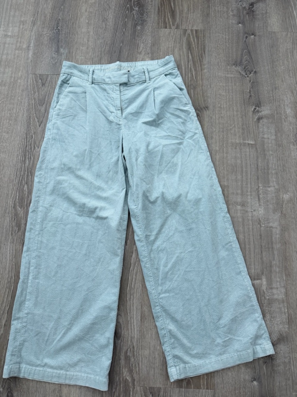American Eagle Outfitters Light Blue Elastic Waist Pants